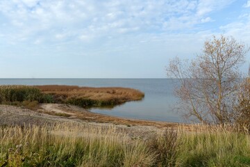 The coast of the Curonian Lagoon. Kaliningrad region
