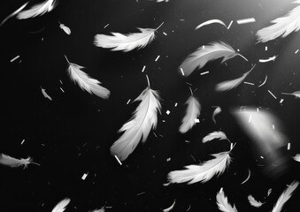 Scattered white feathers floating on a dark background, creating a soft and fluffy texture in an abstract design with copy space, ideal for banners, wallpapers, for creative layouts.
