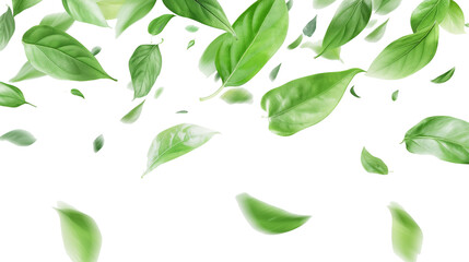 Green flying leaves isolated on white background