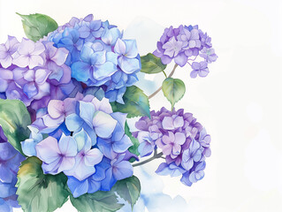 水彩風紫陽花のイラスト