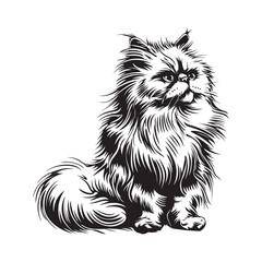 Persian Cat Image vector Isolated on white. illustration of Persian Cat