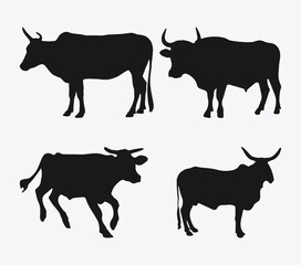 Graceful Bovine Shadows, A Collection of Majestic Cow Silhouettes