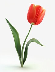 bouquet of red tulips