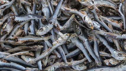 Japanese style small dried fish full screen