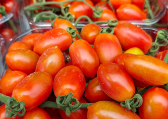 Organics cherry tomatoes for sale at city market
