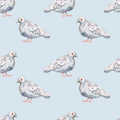 Pigeon birds hand drawn watercolor set park city animals feathers wings environment