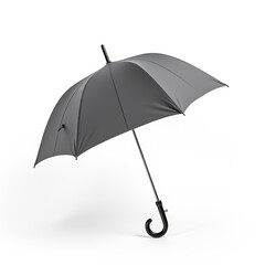 Umbrella gray