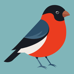 Bullfinch bird vector art silhouette illustration