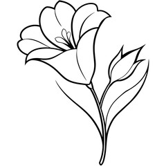 Freesia vector silhouette
