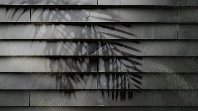 shadows of leaves and twigs blowing in the wind on an old wooden wall looping video