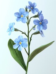 Naklejka premium bouquet of blue flowers