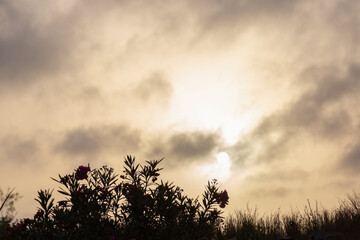 Sunset over the field, Boa Vista, Cape Verde