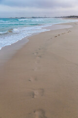 Footprints on the beach Praia de Chaves in the morning, Boa Vista, Cape Verde 