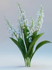 Fototapeta premium Lifelike Lily of the Valley 3D Renders for Your Designs