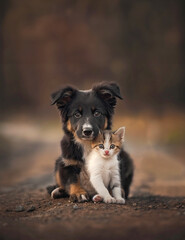 The puppy hugged the kitten with love on dark background, AI generative