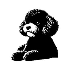 Bichon FRISE Silhouette- Bichon FRISE Illustration- Minimalist Bichon FRISE vector.