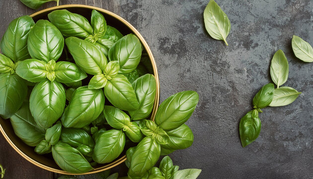 Close up organic basil plant top view.
