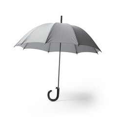 Umbrella steelgray
