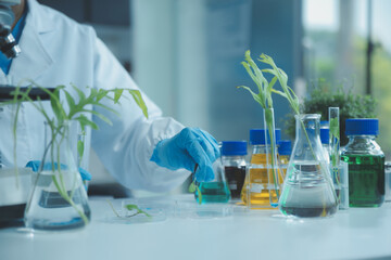 Scientist cutting plant tissue culture in petri dish, performing laboratory experiments. Small...