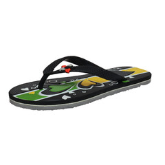 eva flip-flop or slippers isolated