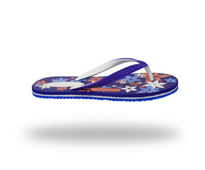 eva flip-flop or slippers isolated