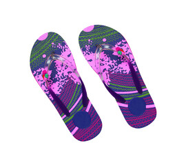 eva flip-flop or slippers isolated