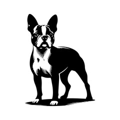  Minimalist Boston Terrier Silhouette-
Elegant Lines Capturing the Essence- Boston Terrier Illustration- Boston Terrier Vector.