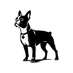  Minimalist Boston Terrier Silhouette-
Elegant Lines Capturing the Essence- Boston Terrier Illustration- Boston Terrier Vector.