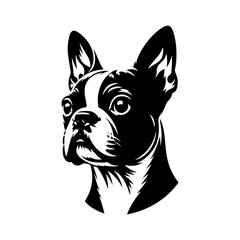  Minimalist Boston Terrier Silhouette-
Elegant Lines Capturing the Essence- Boston Terrier Illustration- Boston Terrier Vector.