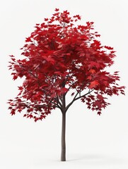 Elegant Red Maple Leaves in 3D Render Clipart