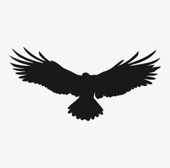 Majestic Eagle Silhouette, The Symbol of Freedom and Strength
