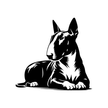 recommend clip art: Bull Terrier Vector Silhouette- Bull Terrier Illustration- Minimalist Bull Terrier Vector.