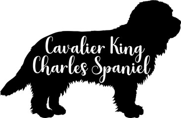Cavalier King Charles Spaniel Dog silhouette dog breeds logo dog monogram vector