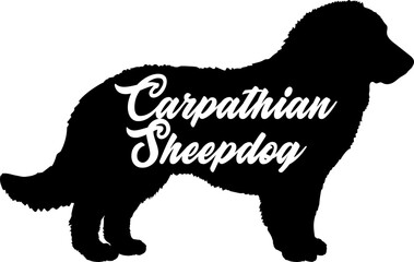 Carpathian Sheepdog Dog silhouette dog breeds logo dog monogram vector