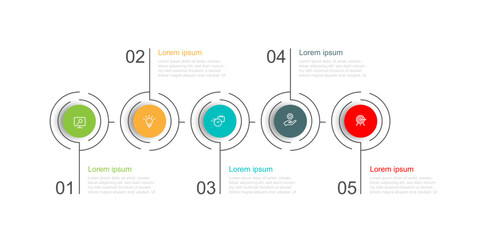 Design template infographic vector element with 5 step line circle suitable for web presentation and business information