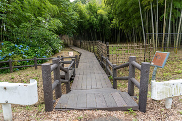 Iina Park Kawaguchi, Akayama Historical Nature Park	
