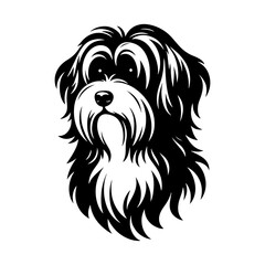 HAVANESE Dog Vector Silhouette- HAVANESE  Dog Illustration- Minimalist HAVANESE Dog  Vector Silhouette