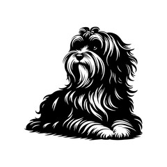 HAVANESE Dog Vector Silhouette- HAVANESE  Dog Illustration- Minimalist HAVANESE Dog  Vector Silhouette