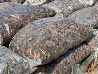 Mulch in the bags for to enrich or insulate the soil.