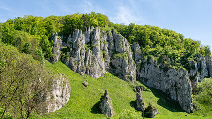 Ojcowski Park Narodowy © Tomasz Warszewski