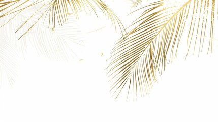 A palm tree with a white background featuring gold lines and leaves, website background, design template