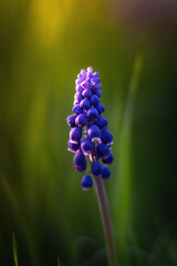 close up of a blue flower