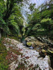 river in the forest Georgia
