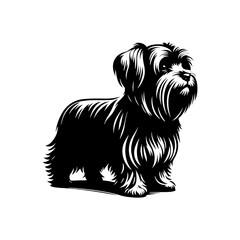 Maltese Dog Silhouette - Capturing the Delicate Beauty and Elegance of this Beloved Companion Breed- Minimalist Maltese Dog vector - Maltese Dog Illustration.