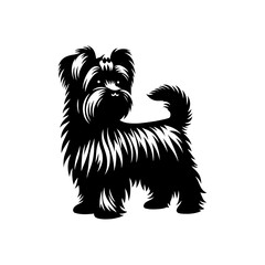 Maltese Dog Silhouette - Capturing the Delicate Beauty and Elegance of this Beloved Companion Breed- Minimalist Maltese Dog vector - Maltese Dog Illustration.