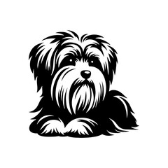 Maltese Dog Silhouette - Capturing the Delicate Beauty and Elegance of this Beloved Companion Breed- Minimalist Maltese Dog vector - Maltese Dog Illustration.