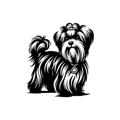 Maltese Dog Silhouette - Capturing the Delicate Beauty and Elegance of this Beloved Companion Breed- Minimalist Maltese Dog vector - Maltese Dog Illustration.