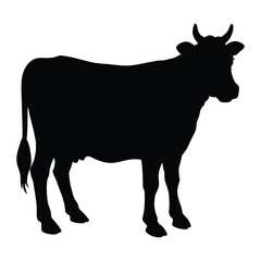 silhouette of a cow on white