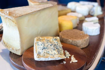 Unique cheese platter a variety of cheeses on a wooden board.
