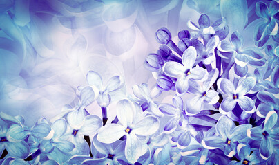 Floral spring background. Lilac bouquet of   blue  flowers  and  petals. Close-up. Nature. Lilac...
